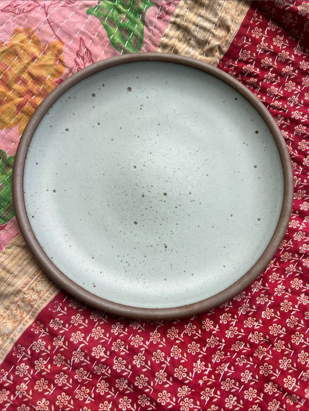 Eastfork dinner plate -Soapstone